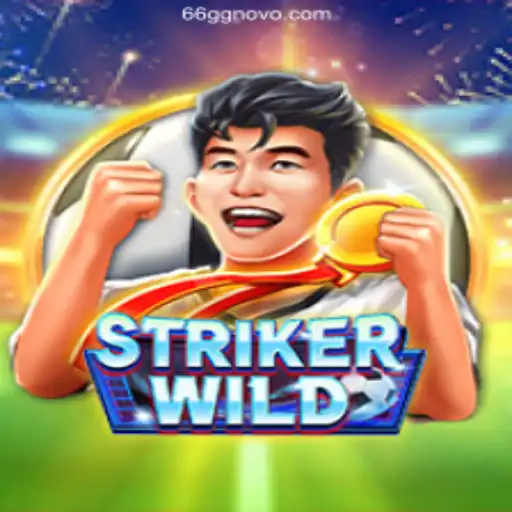 Exploring the Thrills of StrikerWILD: A Leading Betting Platform